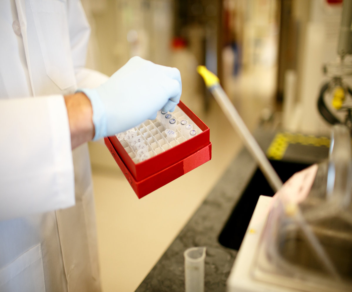 Samples being stored