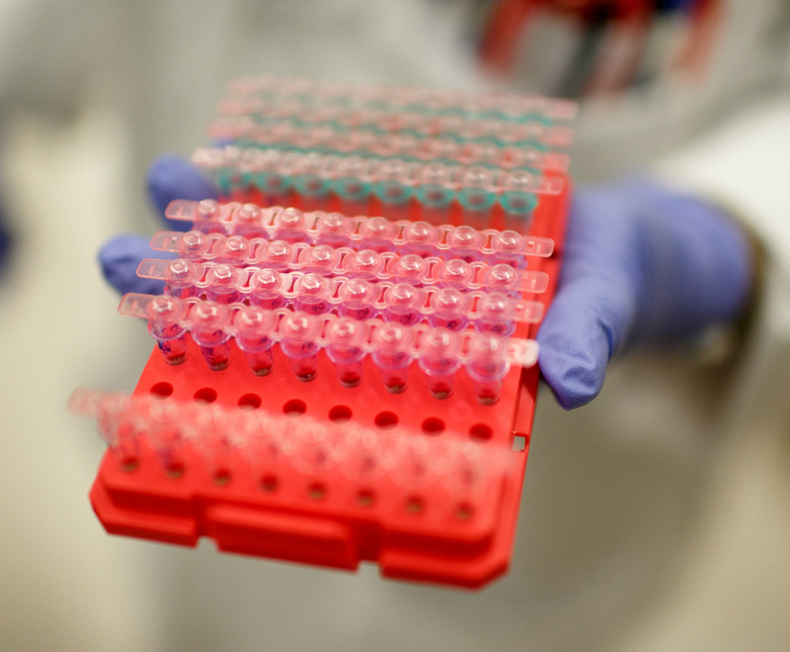 PCR tubes